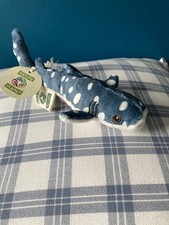 Nature Planet Sea Creature